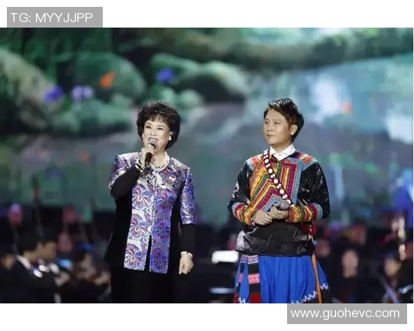 王岚的音乐之路：从初出茅庐到华语乐坛的璀璨星辰