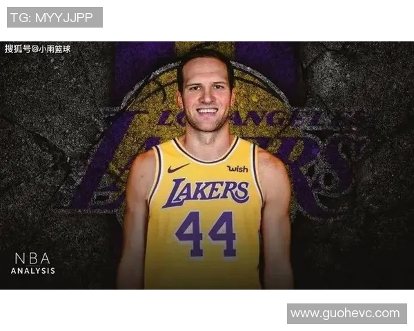 博格丹博格达诺维奇的篮球之路与职业生涯精彩瞬间回顾