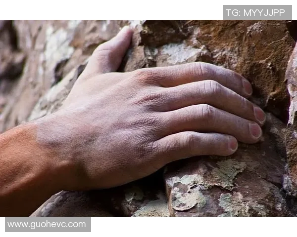 攀岩新手必看灵活性训练技巧与入门指南助你轻松上手